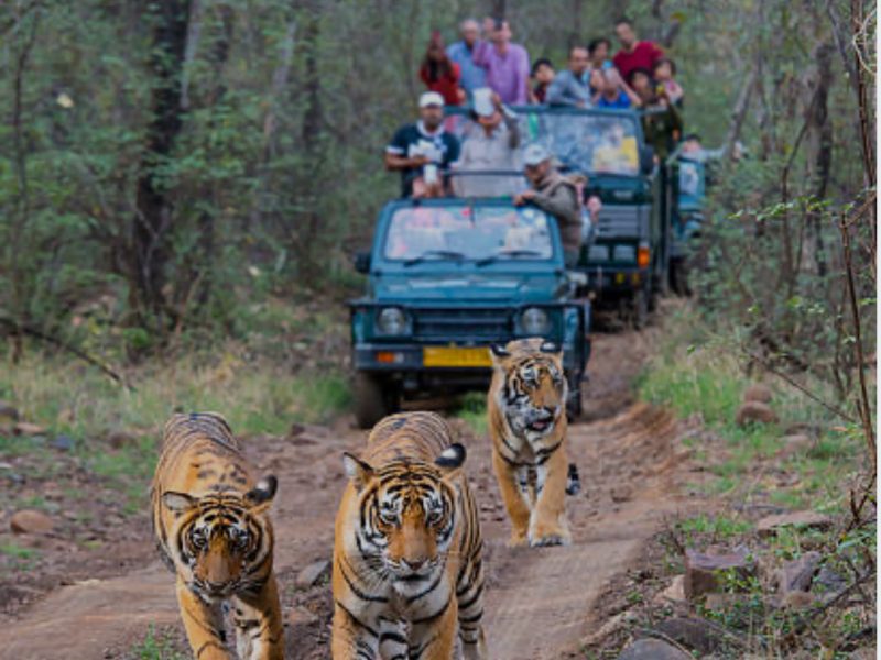 Discover India With Us